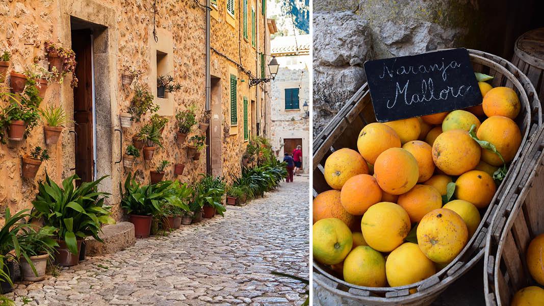 Valldemossa og Appelsiner, Mallorca